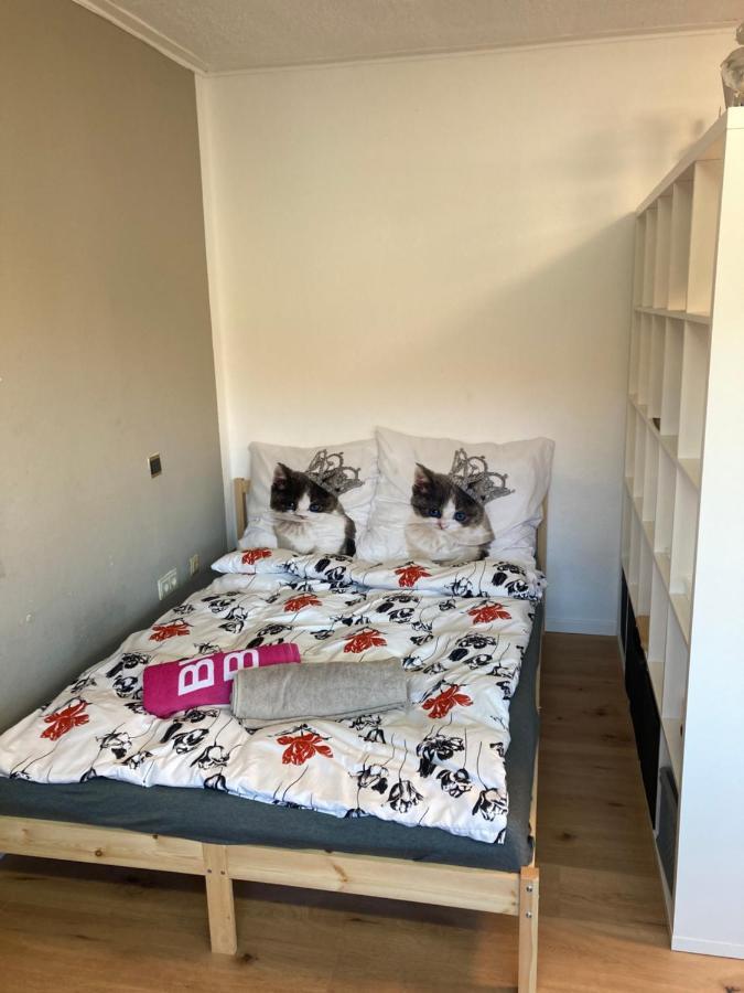 Privatzimmer In Muenchen Zentrum Extérieur photo